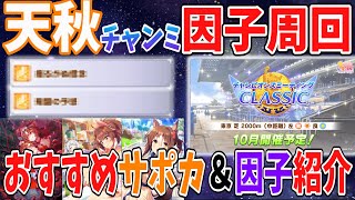 【因子周回】サポカから取りにくい因子などを大紹介！天秋チャンミにおススメのサポカと因子まとめました。【ウマ娘】 [upl. by Harlie940]