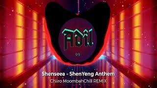 Shenseea  ShenYeng Anthem Chiiro MoombahChill Remix [upl. by Vezza]