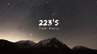 YNW Melly  223s Lyrics ft 9lokknine [upl. by Alegnatal]