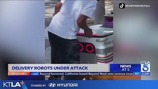 Food delivery robots under attack from vandals thieves [upl. by Oicul462]