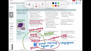 chediak higashi syndrome immunology 56  First Aid USMLE Step 1 in UrduHindi [upl. by Gage]