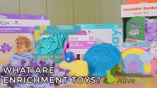 Enrichment Toys for Cats amp Dogs Plus DIY Toy Tutorials [upl. by Nasar]