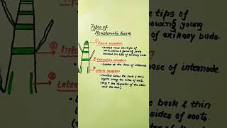 Types of Meristematic tissue meristematic tissue science apical meristem intercalary lateral [upl. by Ennaer]