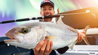 How To Catch Amberjack Live Bait Rig [upl. by Armmat]