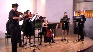 Telemann Concerto for two Clarinets Chalumeaux and Strings [upl. by Allmon]