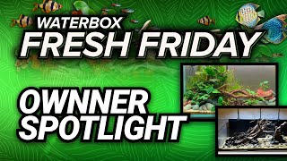 Fresh Friday  Owner Spotlight [upl. by Tobe]