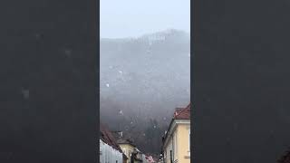 Ninge la Brașov Prima zăpadă din acest sezon [upl. by Ssidnak]