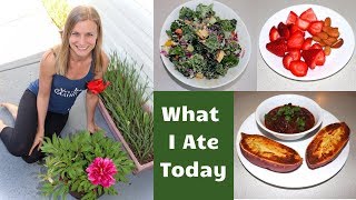 What I Ate Today as a Vegan Nutritarian  Do I Supplement [upl. by Yenmor]