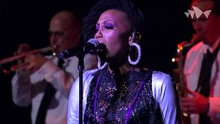 Live Stream CHIC featuring Nile Rodgers trittico Lost in MusicNotoriousOriginal Sin INXS [upl. by Leticia551]