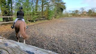 Eriders first dressage test 1A Sarah Tilford and Sox [upl. by Fennell]