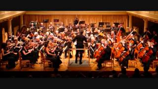 Beyonce  HALO orchestral ver by Deniss Firsovs ridiskawmv [upl. by Hizar]