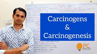 Cancer Part 3 Carcinogens and Carcinogenesis  Tumour Supressor Gene and Oncogenes [upl. by Merna]