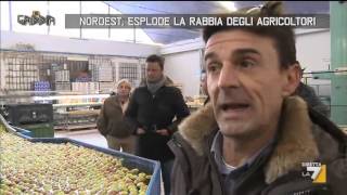 Nordest esplode la rabbia degli agricoltori [upl. by Anaitsirk]