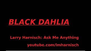 Black Dahlia Announcements for October 2024 [upl. by Persons]