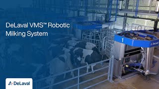 DeLaval VMS™ Robotic Milking System [upl. by Rickie513]