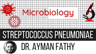 Streptococcus Pneumoniae USMLE Step 1 Microbiology  Dr Ayman Fathy [upl. by Darryn]