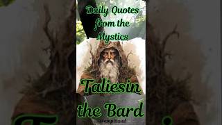 Taliesin the Welsh Bard Daily Quotes from the Mystics [upl. by Rola]