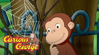 George The SpiderMonkey 🐵Curious George 🐵 Videos for Kids [upl. by Swanson142]