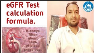 eGFR Test Calculation Formula [upl. by Accebar419]