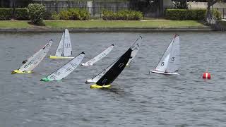 Race 2B DF95 Queensland State Champs Nov 2 2024 [upl. by Ocin]