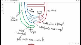 Circulatia limfatica [upl. by Kciremed]
