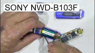 DISASSEMBLE SONY MP3 PLAYER NWDB103F [upl. by Wadleigh]