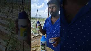 MoventoVaygoinsecticideinsectindianagripointannanirmataशेतकरीindianfarmerfarmingfarm [upl. by Nizam304]