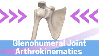 Shoulder Kinesiology Glenohumeral Joint Movement [upl. by Ennirak756]