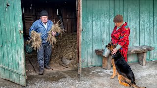 ATMOSPHERIC LIFE in a Remote Mountain Village FAR From CIVILIZATION [upl. by Naibaf]