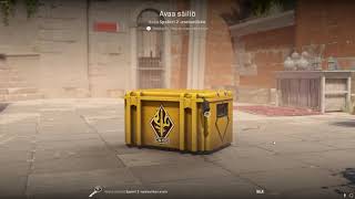 DAY 371 OPENING CS2 CASES UNTIL I GET GOLD [upl. by Garibold576]