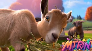 Baby Farm Animals Song  Nursery Rhyme  MTRin Channel [upl. by Naashar]