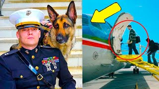 Ein Veteran und sein Assistenzhund werden am Einsteigen ins Flugzeug gehindert was dann passierte [upl. by Tiduj572]