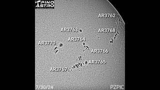 Daily Sunspots July 30 2024 BampW 73024 sun solar sunspots seestar SolarObservation [upl. by Kirsch519]