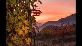 VALTELLINA WINE TRAILSDM NEWS 09 11 2021 [upl. by Aeret]