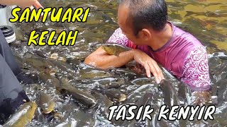 Santuari Kelah  Tasik Kenyir [upl. by Nytnerb]