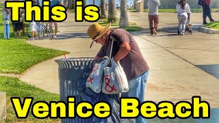 This is Venice Beach 2024 [upl. by Yevad257]