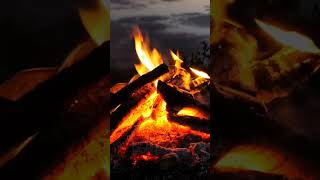 burning wood makes a burning fire  asmr fire clarity [upl. by Heiskell]