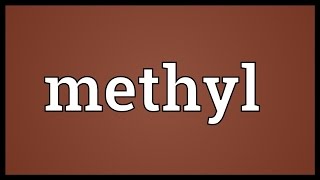 Methyl Meaning [upl. by Petrie]