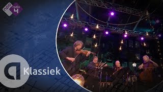 Beethoven Cavatina  Brodsky Quartet  Prinsengrachtconcert 2017 Amsterdam [upl. by Airelav82]