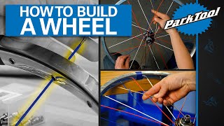 How To Build A Bicycle Wheel [upl. by Ttam]