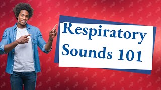 What are the 4 respiratory sounds [upl. by Susejedairam]