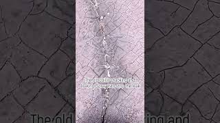 Lets together fend off water intrusionwaterproof leakage spray coating crack repair [upl. by Mauve]