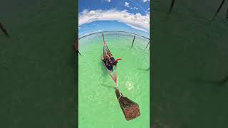 insta360 bacalar lagoon mexicomagico quintanaroo travel taking a break nodronenoproblem [upl. by Eugatnom]