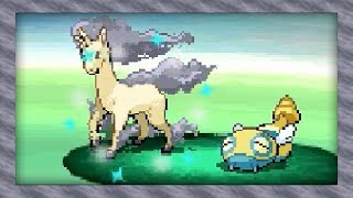 Live Shiny Rapidash After 10714 Random Encounters Pokémon White [upl. by Enelec942]