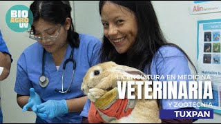 Medicina Veterinaria y ZootecniaTuxpan [upl. by Drarrej189]