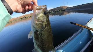 Los Banos Creek Reservoir Bass Fishing [upl. by Onirefes]