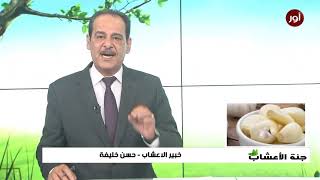 فوائد الثوم للثوم فوائد متعددة نذكر منها مع خبير الاعشاب حسن خليفة  جنة الاعشاب [upl. by Nosnarb549]