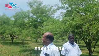 Madurai Natham Amala Farming Land For Sale for by SNK Real Estate 99449 77394 [upl. by Areem]