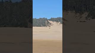 Sand Dunes Adventure Exploring Oregons Coast nature oregoncoast vacation [upl. by Hajan]