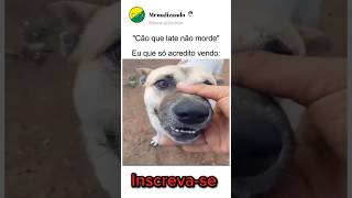 DESAFIO DO CACHORRO🤣 humor meme shorts pets [upl. by Lilith454]